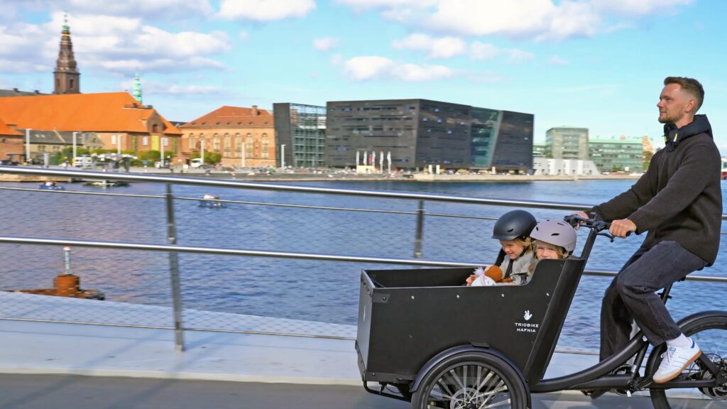 Tricicle de carrega Triobike familiar